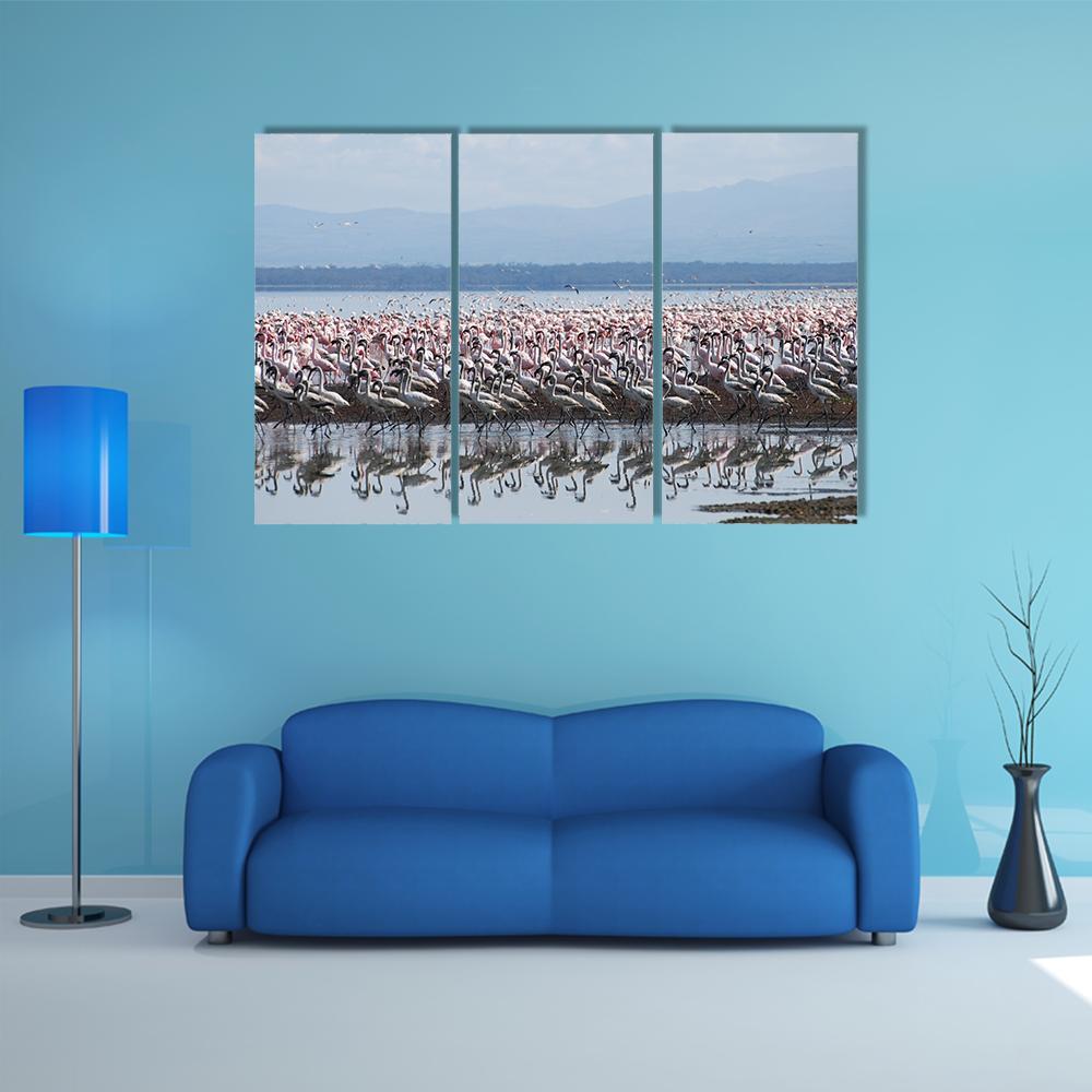 Flamingo At Lake Nakuru Canvas Wall Art-3 Horizontal-Gallery Wrap-37" x 24"-Tiaracle
