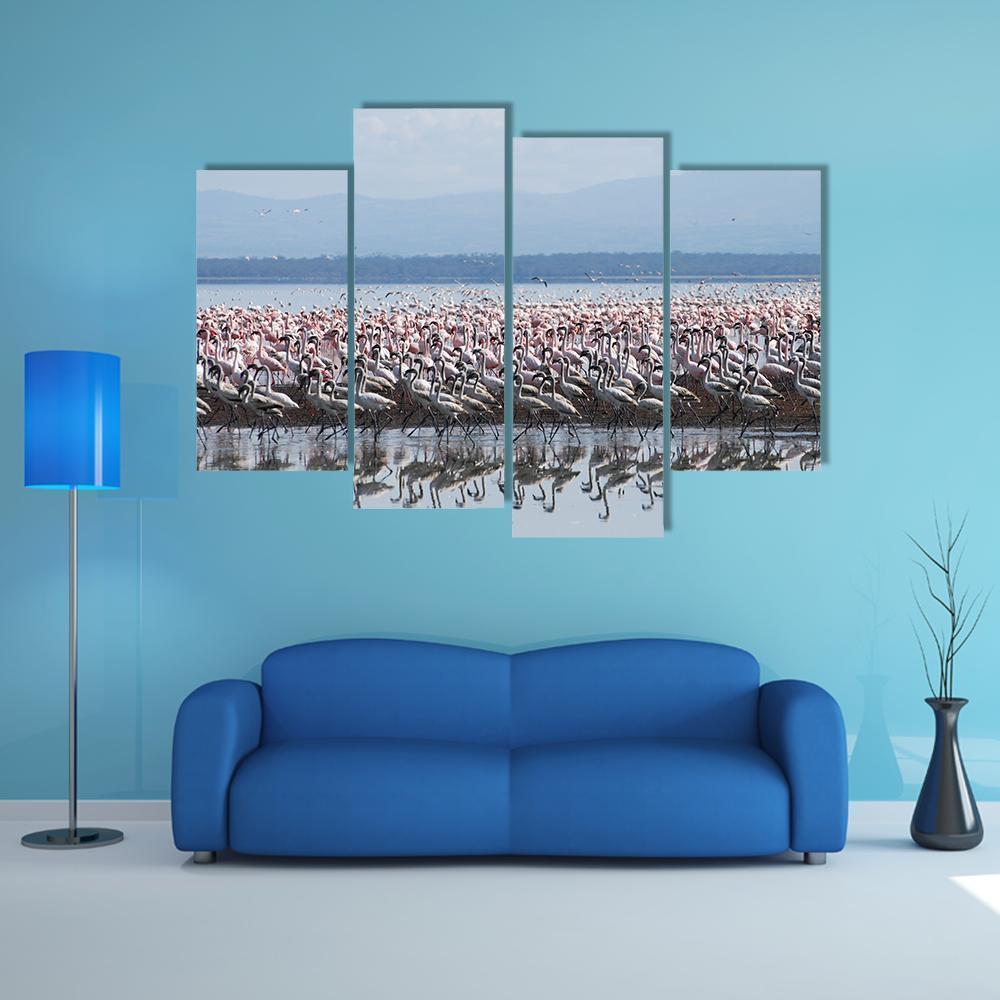 Flamingo At Lake Nakuru Canvas Wall Art-4 Pop-Gallery Wrap-50" x 32"-Tiaracle