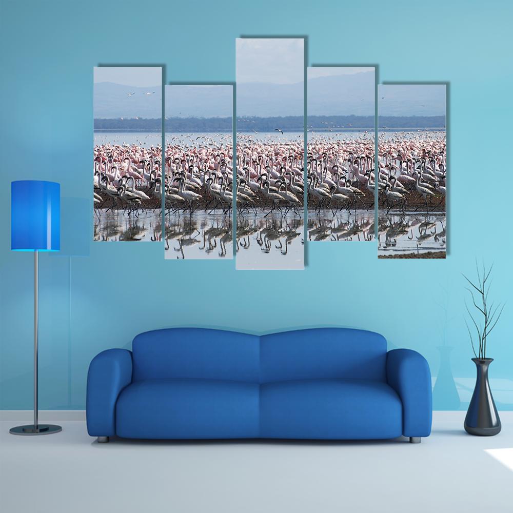 Flamingo At Lake Nakuru Canvas Wall Art-5 Pop-Gallery Wrap-47" x 32"-Tiaracle