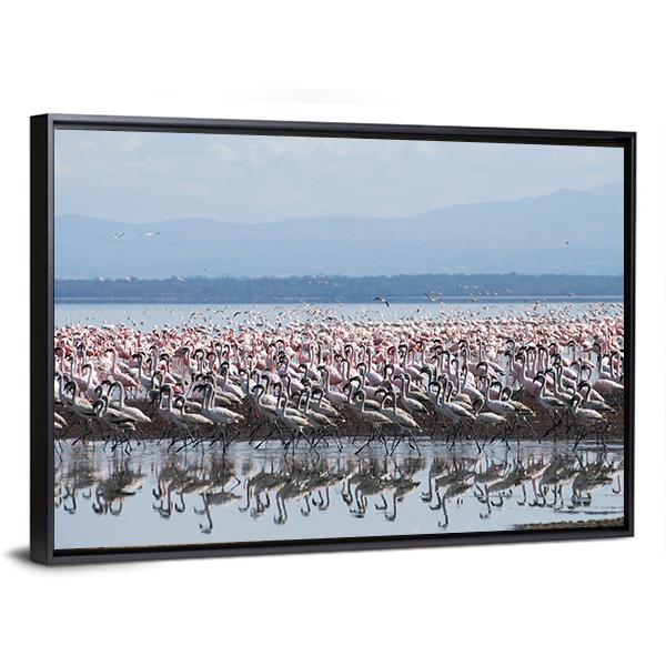 Flamingo At Lake Nakuru Canvas Wall Art-3 Horizontal-Gallery Wrap-25" x 16"-Tiaracle