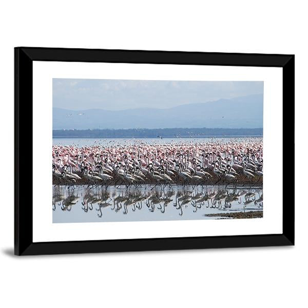 Flamingo At Lake Nakuru Canvas Wall Art-3 Horizontal-Gallery Wrap-25" x 16"-Tiaracle