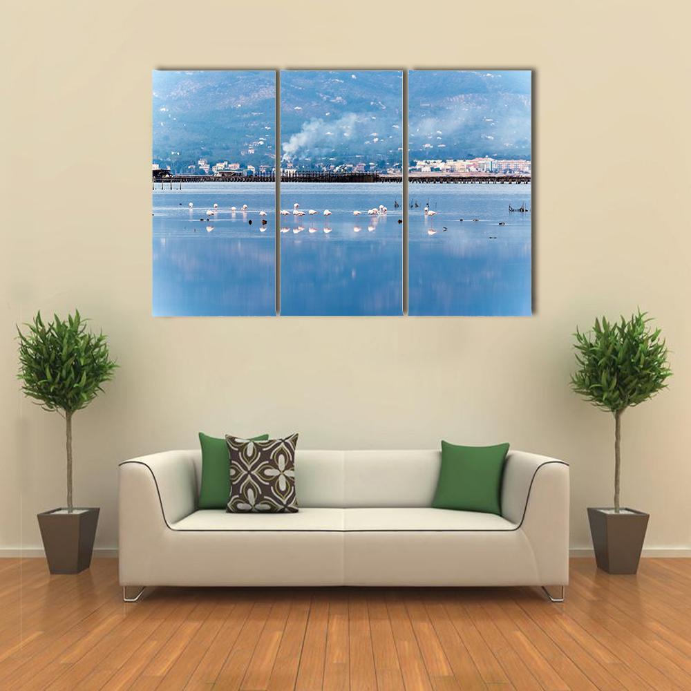 Flamingo Group In Water Canvas Wall Art-3 Horizontal-Gallery Wrap-37" x 24"-Tiaracle