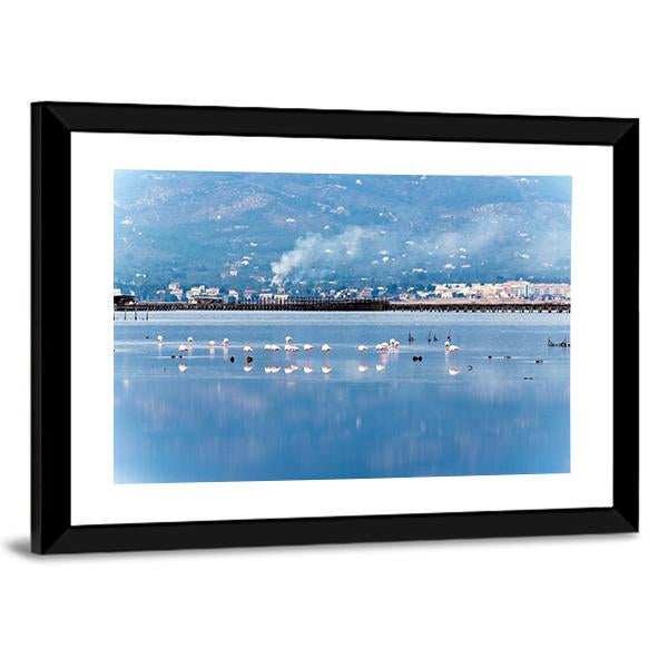 Flamingo Group In Water Canvas Wall Art-3 Horizontal-Gallery Wrap-25" x 16"-Tiaracle