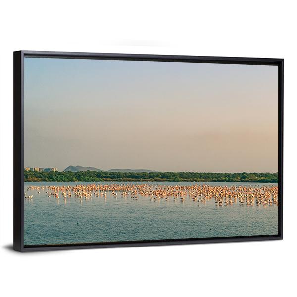 Flamingos Resting On Lake Canvas Wall Art-3 Horizontal-Gallery Wrap-25" x 16"-Tiaracle