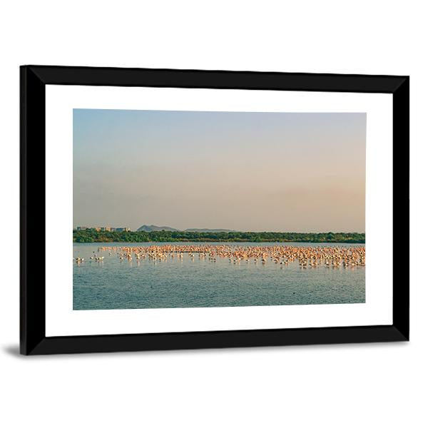 Flamingos Resting On Lake Canvas Wall Art-3 Horizontal-Gallery Wrap-25" x 16"-Tiaracle