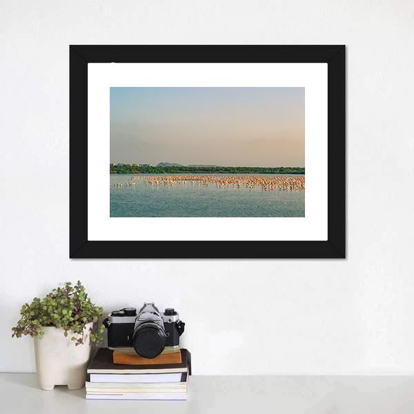 Flamingos Resting On Lake Canvas Wall Art-1 Piece-Framed Print-20" x 16"-Tiaracle