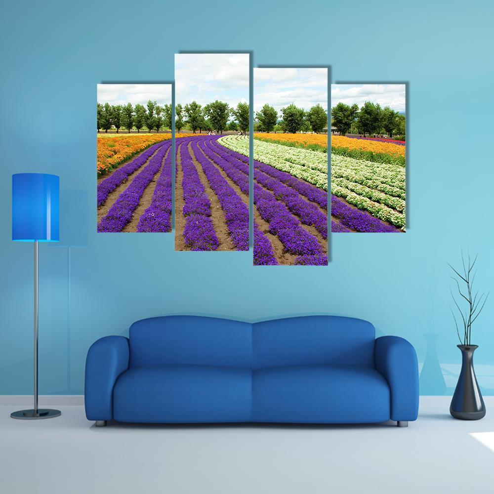 Flower Field Hokkaido Canvas Wall Art-4 Pop-Gallery Wrap-50" x 32"-Tiaracle