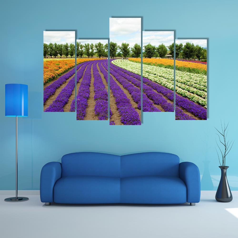 Flower Field Hokkaido Canvas Wall Art-5 Pop-Gallery Wrap-47" x 32"-Tiaracle