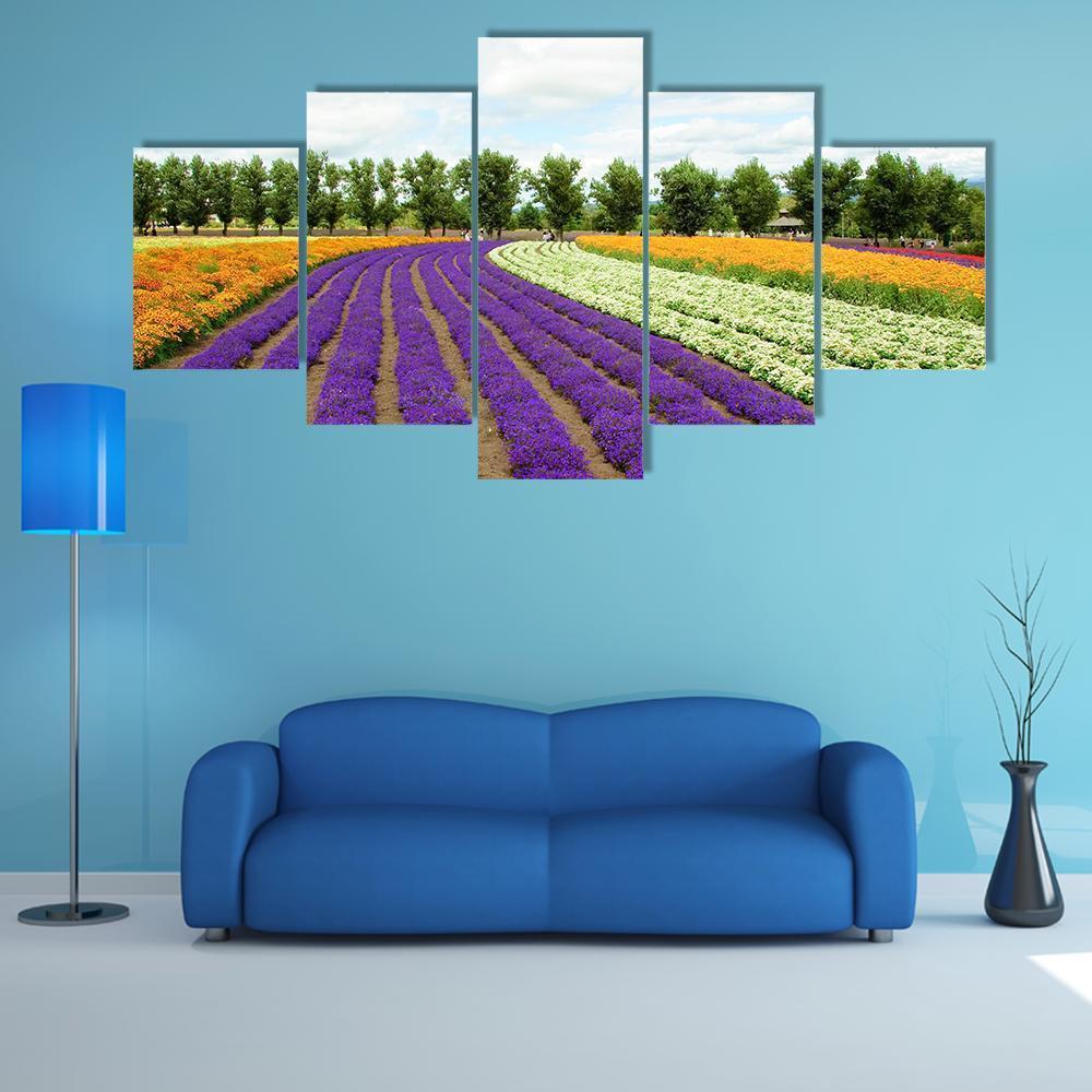 Flower Field Hokkaido Canvas Wall Art-5 Star-Gallery Wrap-62" x 32"-Tiaracle