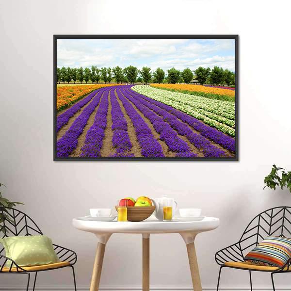 Flower Field Hokkaido Canvas Wall Art-3 Horizontal-Gallery Wrap-25" x 16"-Tiaracle