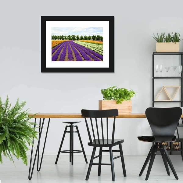 Flower Field Hokkaido Canvas Wall Art-3 Horizontal-Gallery Wrap-25" x 16"-Tiaracle
