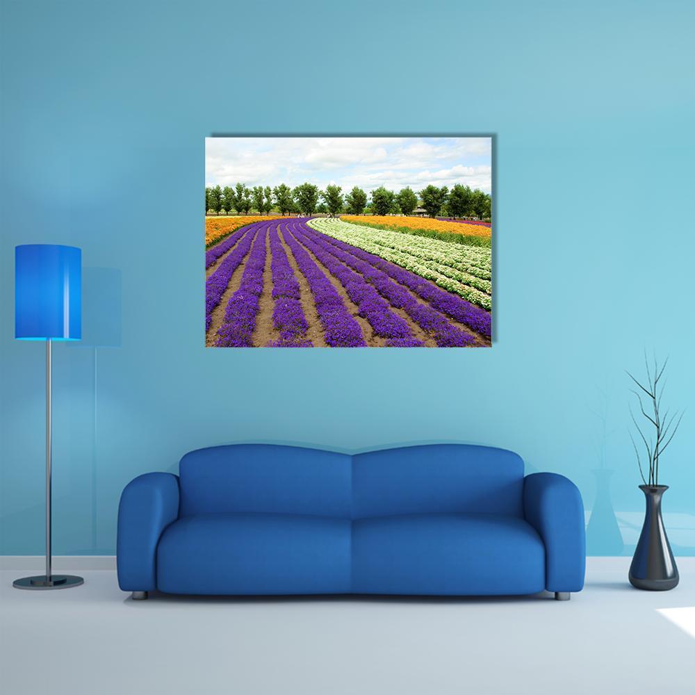 Lavender Rows with Distant Trees Canvas Wall Art in yellow, green and purple, single panel hung on a wall