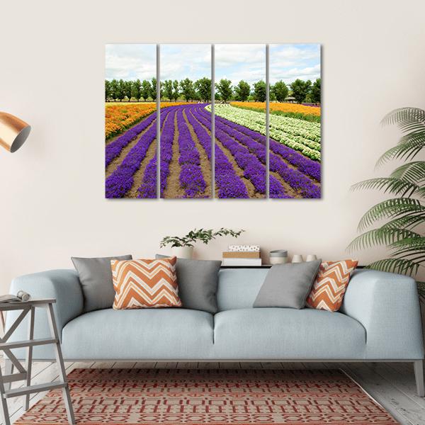 Flower Field Hokkaido Canvas Wall Art-4 Horizontal-Gallery Wrap-34" x 24"-Tiaracle