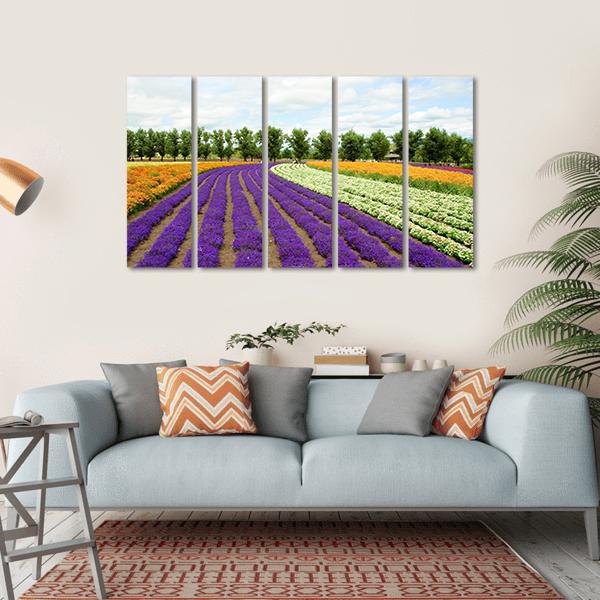 Flower Field Hokkaido Canvas Wall Art-5 Horizontal-Gallery Wrap-22" x 12"-Tiaracle