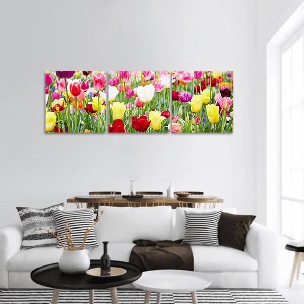 Blooming Tulips Panoramic Canvas Wall Art-3 Piece-25" x 08"-Tiaracle