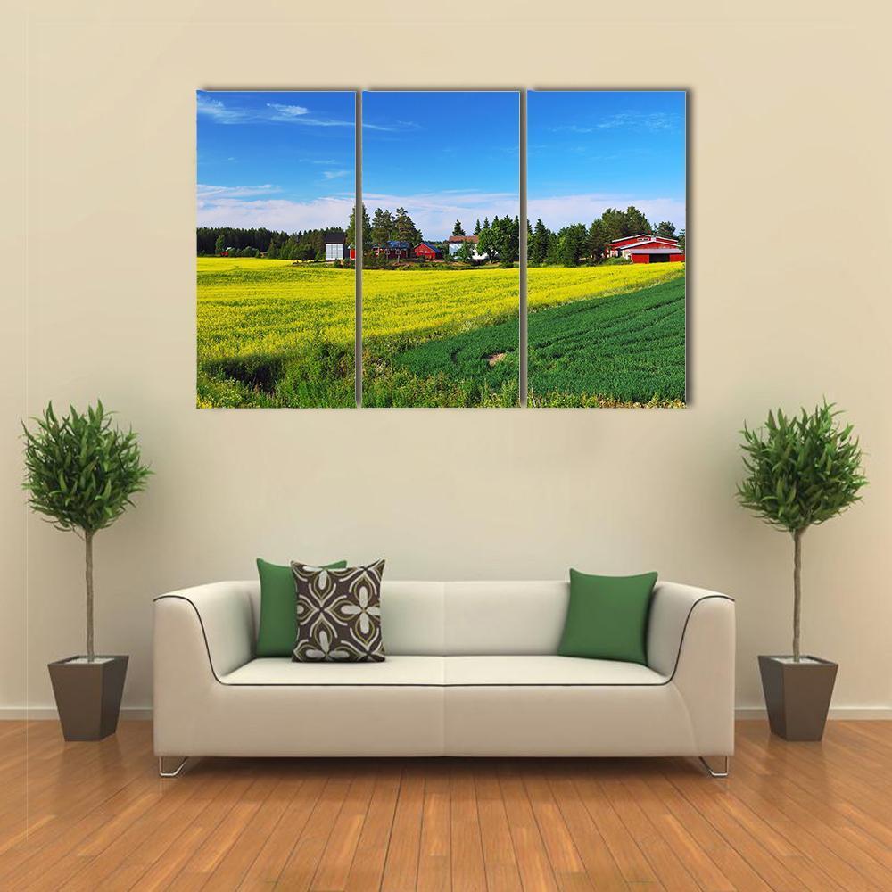 Flowers Field Finland Canvas Wall Art-3 Horizontal-Gallery Wrap-37" x 24"-Tiaracle