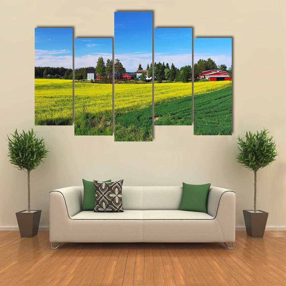 Flowers Field Finland Canvas Wall Art-5 Pop-Gallery Wrap-47" x 32"-Tiaracle