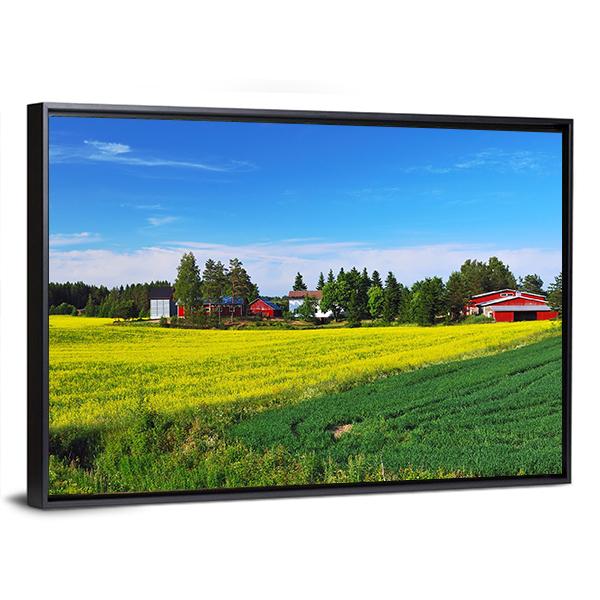 Flowers Field Finland Canvas Wall Art-3 Horizontal-Gallery Wrap-25" x 16"-Tiaracle
