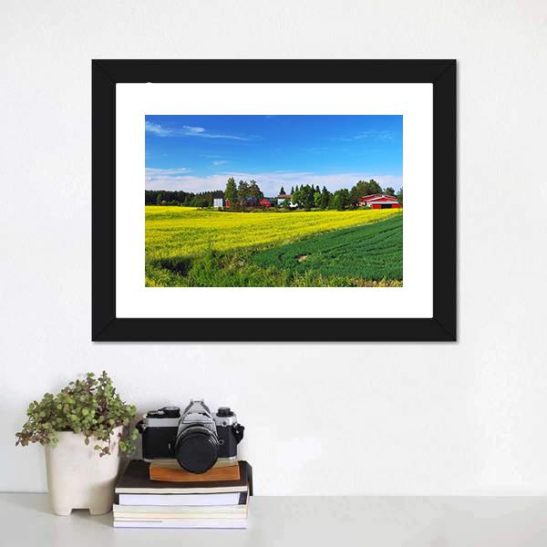 Flowers Field Finland Canvas Wall Art-1 Piece-Framed Print-20" x 16"-Tiaracle