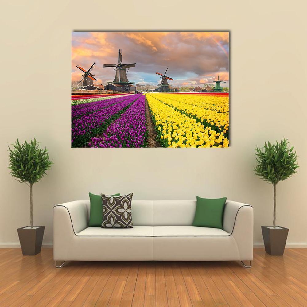 Tulip Fields and Dutch Windmills at Sunset Canvas Wall Art in orange, yellow and purple, single panel hung on a wall