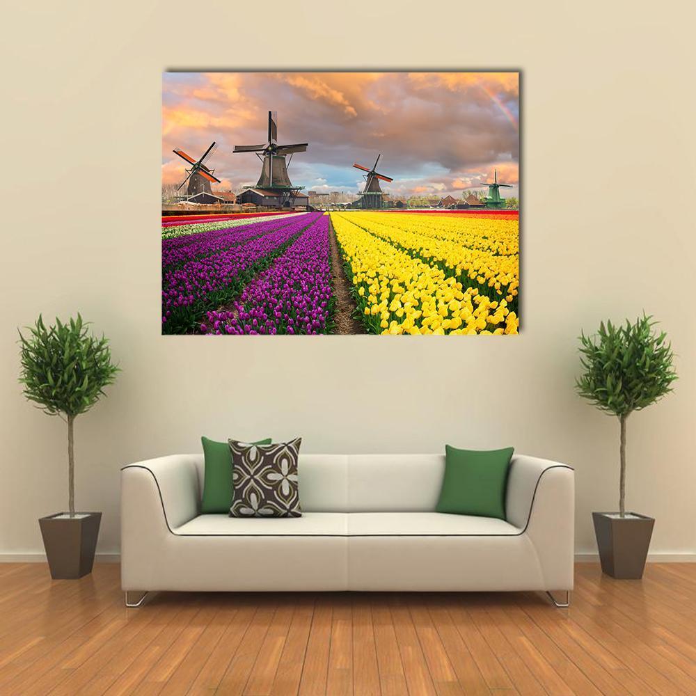 Purple and Yellow Tulip Fields with Windmills Canvas Wall Art in yellow and purple, single panel hung on a wall