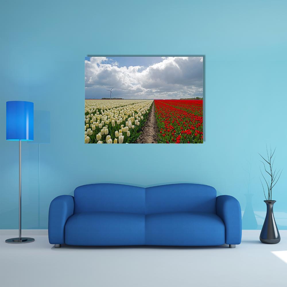 Red and White Tulip Field Canvas Wall Art in white, red and green, single panel hung on a wall