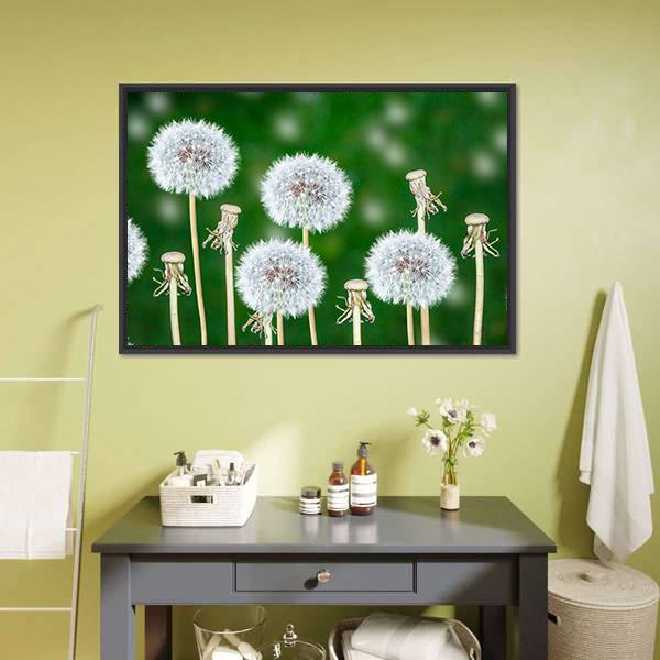 Fluffy Dandelion Flowers Canvas Wall Art-1 Piece-Floating Frame-24" x 16"-Tiaracle