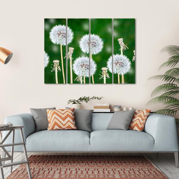Fluffy Dandelion Flowers Canvas Wall Art-4 Horizontal-Gallery Wrap-34" x 24"-Tiaracle