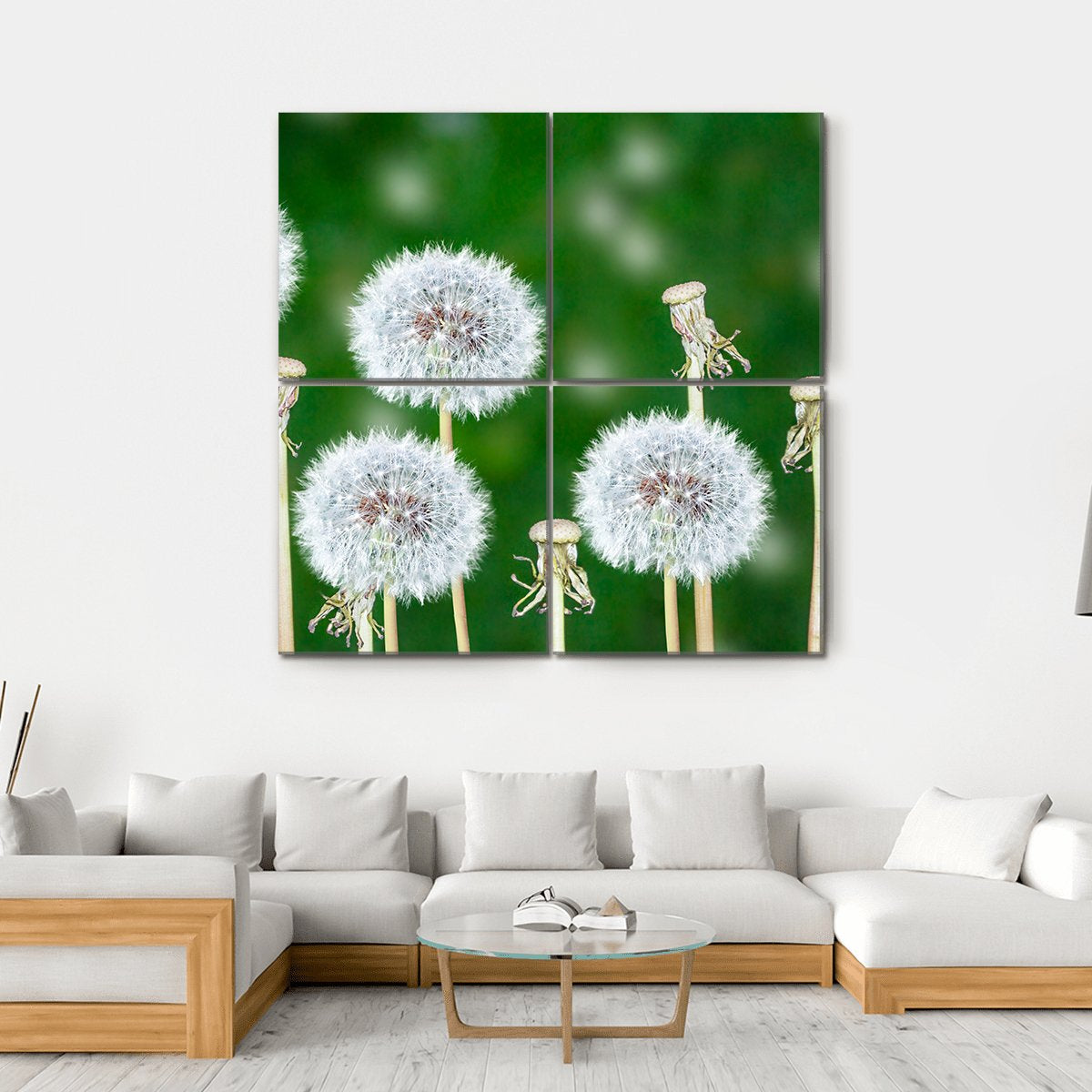 Fluffy Dandelion Flowers Canvas Wall Art-4 Square-Gallery Wrap-17" x 17"-Tiaracle