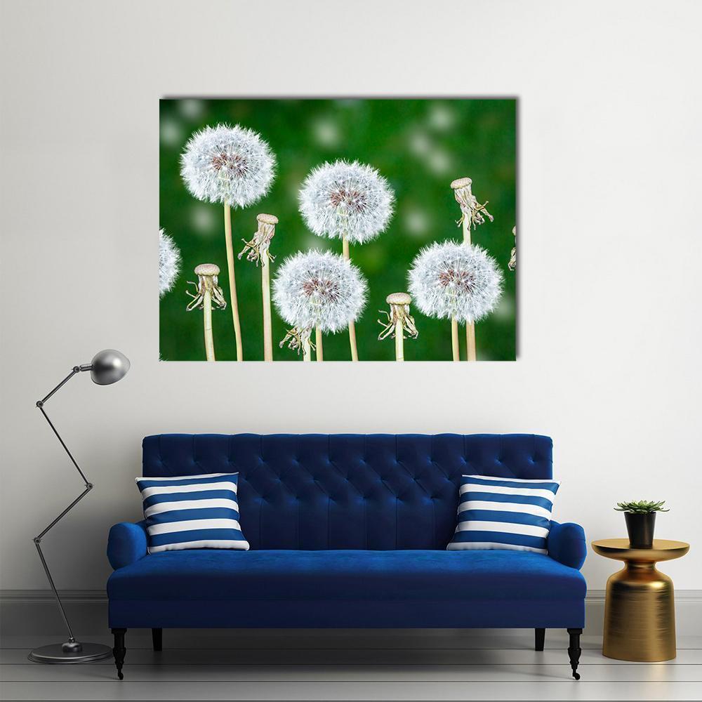 Fluffy Dandelion Seed Heads Canvas Wall Art in white and green, single panel hung on a wall