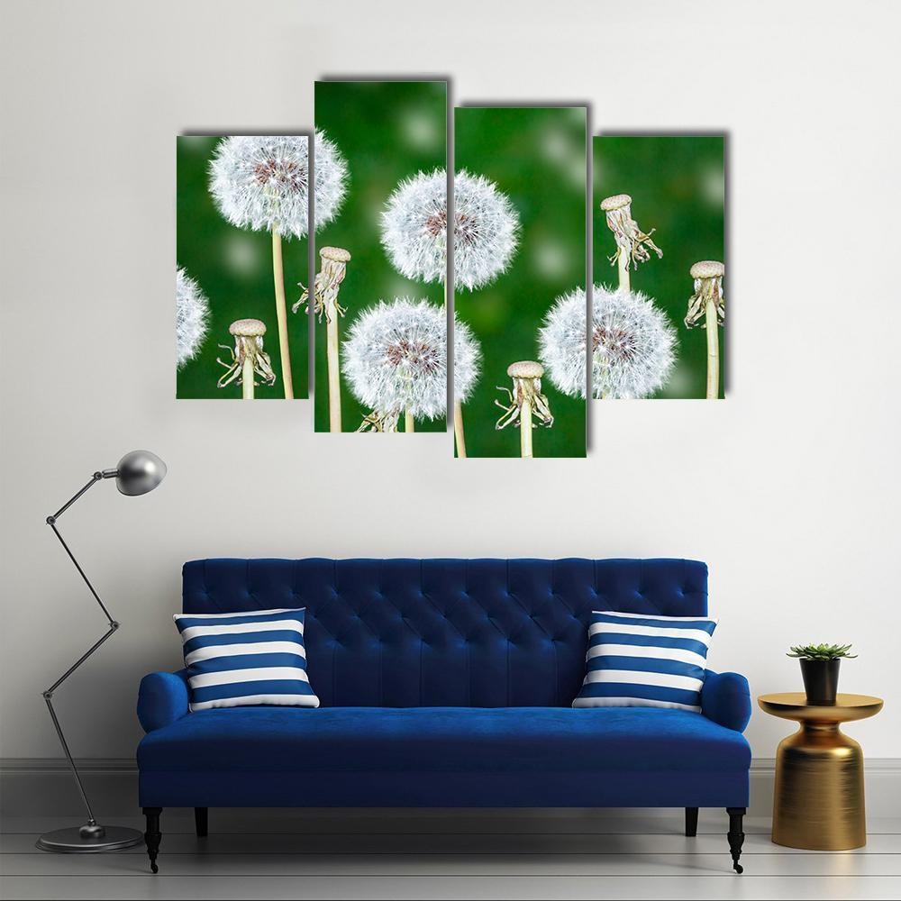 Fluffy Dandelion Flowers Canvas Wall Art-4 Pop-Gallery Wrap-50" x 32"-Tiaracle