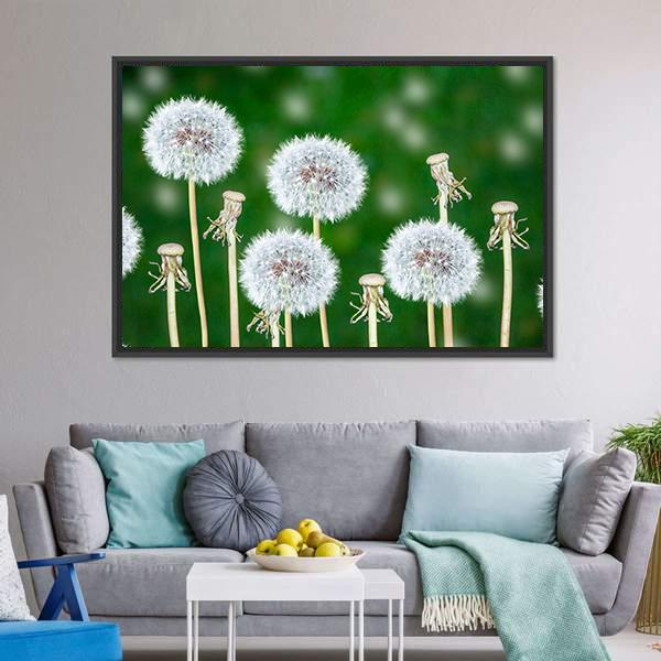 Fluffy Dandelion Flowers Canvas Wall Art-3 Horizontal-Gallery Wrap-25" x 16"-Tiaracle
