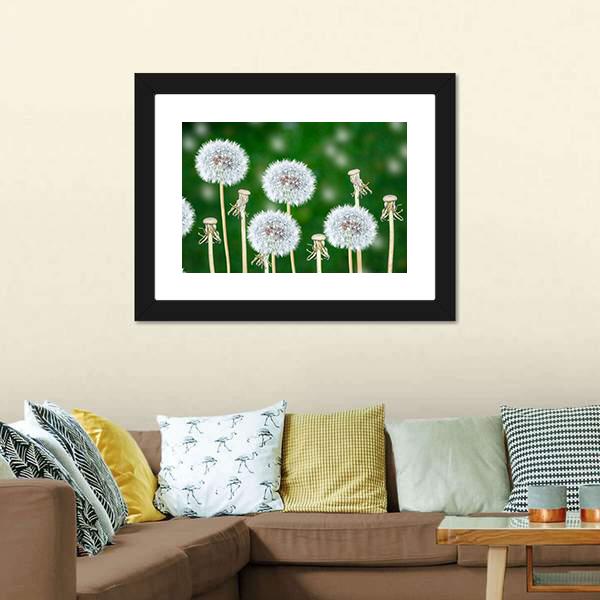 Fluffy Dandelion Flowers Canvas Wall Art-3 Horizontal-Gallery Wrap-25" x 16"-Tiaracle