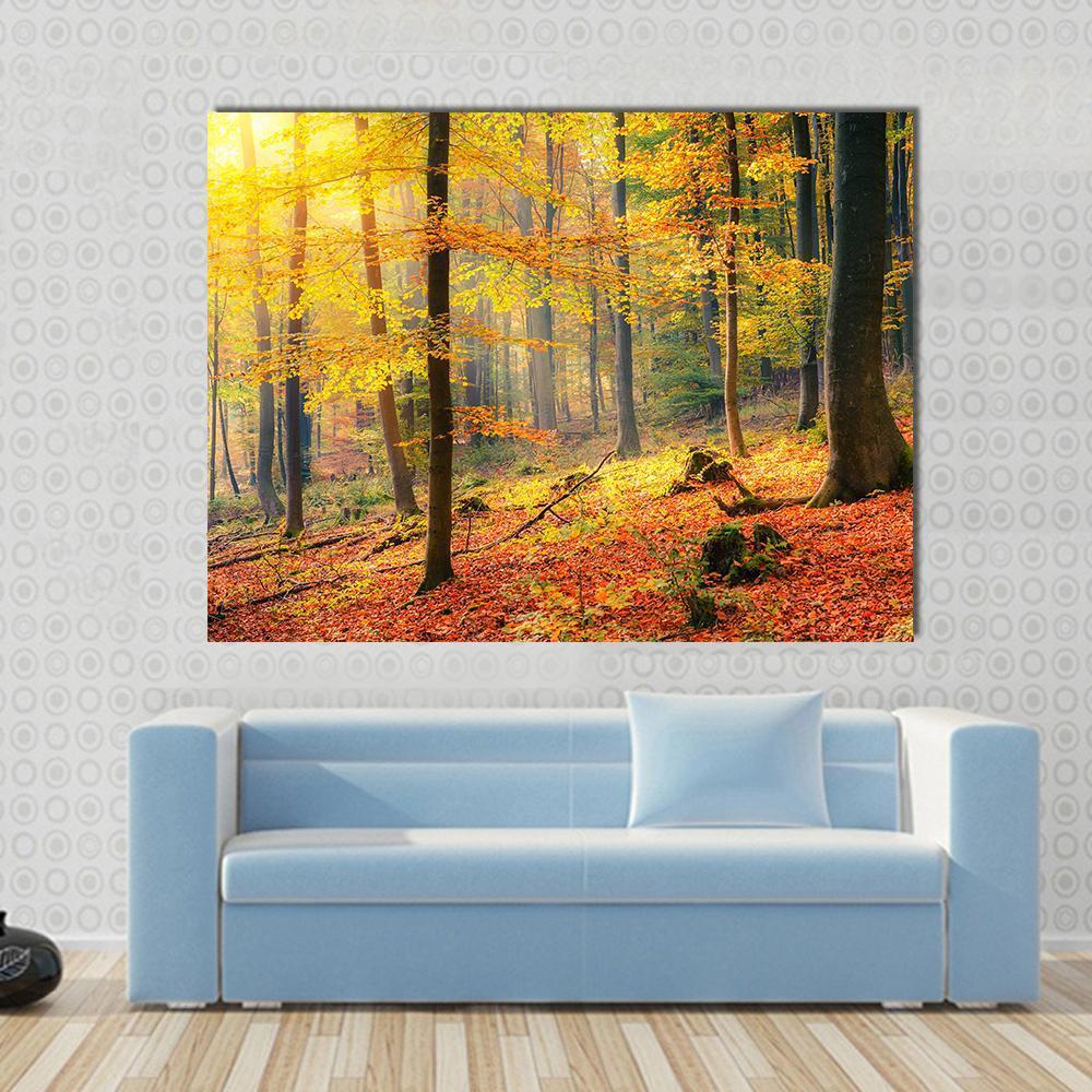 Foggy Autumn Forest Canvas Wall Art in brown, orange and yellow, single panel hung on a wall