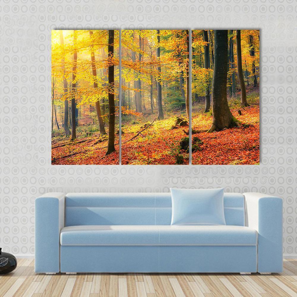 Foggy Autumn Forest Canvas Wall Art-3 Horizontal-Gallery Wrap-37" x 24"-Tiaracle