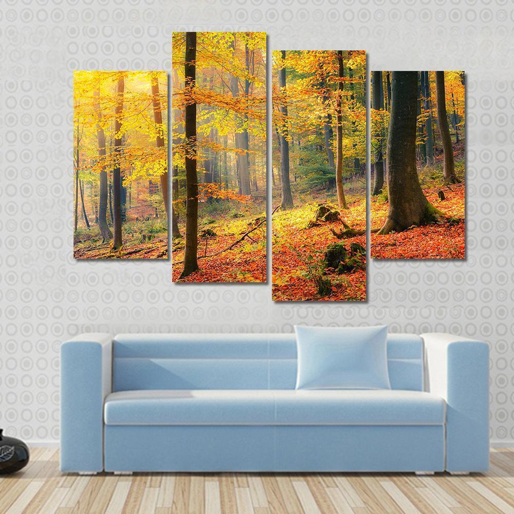 Foggy Autumn Forest Canvas Wall Art-4 Pop-Gallery Wrap-50" x 32"-Tiaracle