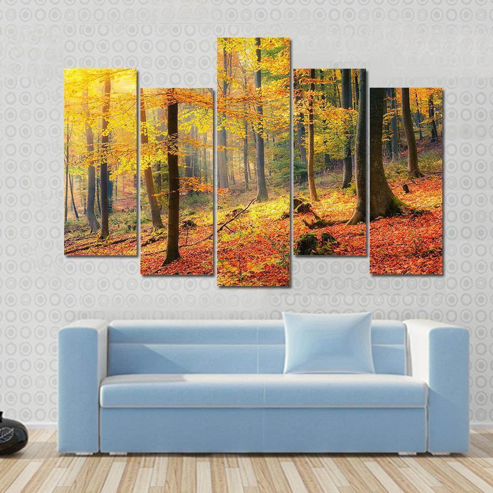 Foggy Autumn Forest Canvas Wall Art-5 Pop-Gallery Wrap-47" x 32"-Tiaracle