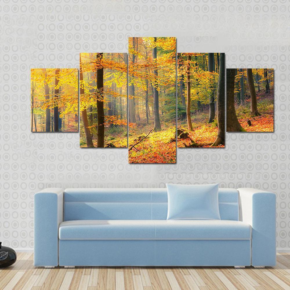 Foggy Autumn Forest Canvas Wall Art-5 Star-Gallery Wrap-62" x 32"-Tiaracle