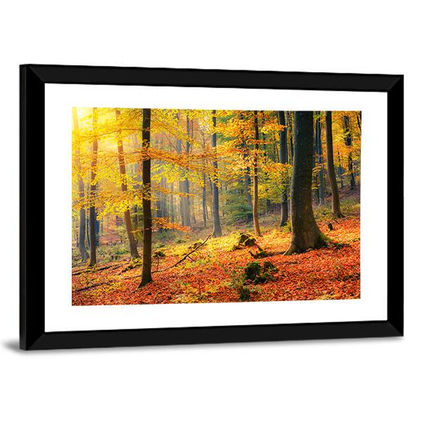 Foggy Autumn Forest Canvas Wall Art-3 Horizontal-Gallery Wrap-25" x 16"-Tiaracle