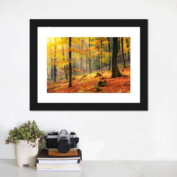 Foggy Autumn Forest Canvas Wall Art-3 Horizontal-Gallery Wrap-25" x 16"-Tiaracle