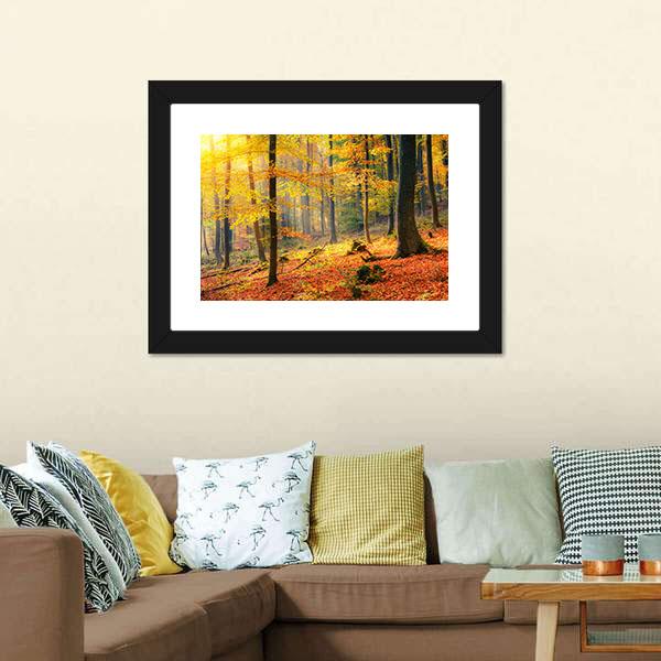 Foggy Autumn Forest Canvas Wall Art-1 Piece-Framed Print-20" x 16"-Tiaracle