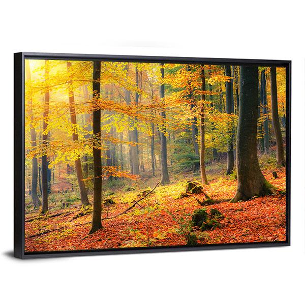 Foggy Autumn Forest Canvas Wall Art-3 Horizontal-Gallery Wrap-25" x 16"-Tiaracle