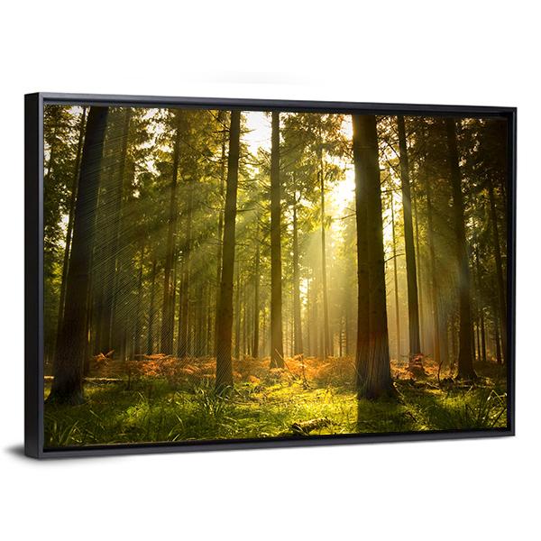 Forest At Dusk Canvas Wall Art-5 Horizontal-Gallery Wrap-22" x 12"-Tiaracle