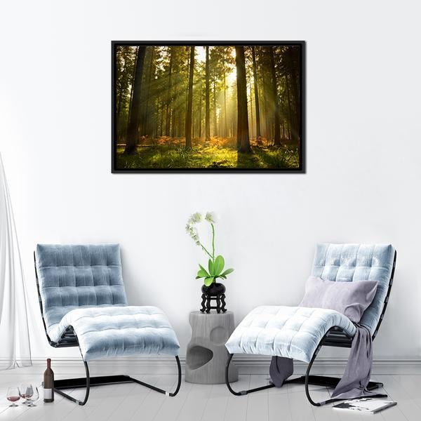 Forest At Dusk Canvas Wall Art-5 Horizontal-Gallery Wrap-22" x 12"-Tiaracle