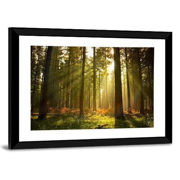 Forest At Dusk Canvas Wall Art-5 Horizontal-Gallery Wrap-22" x 12"-Tiaracle