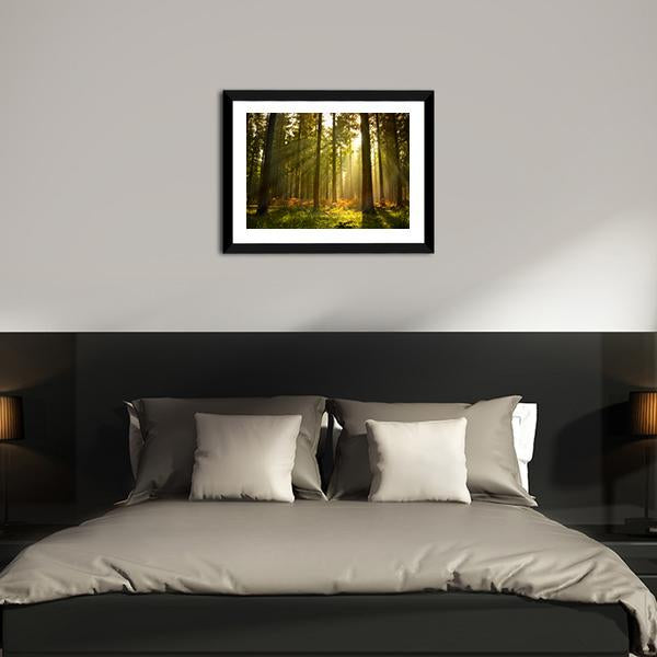 Forest At Dusk Canvas Wall Art-5 Horizontal-Gallery Wrap-22" x 12"-Tiaracle