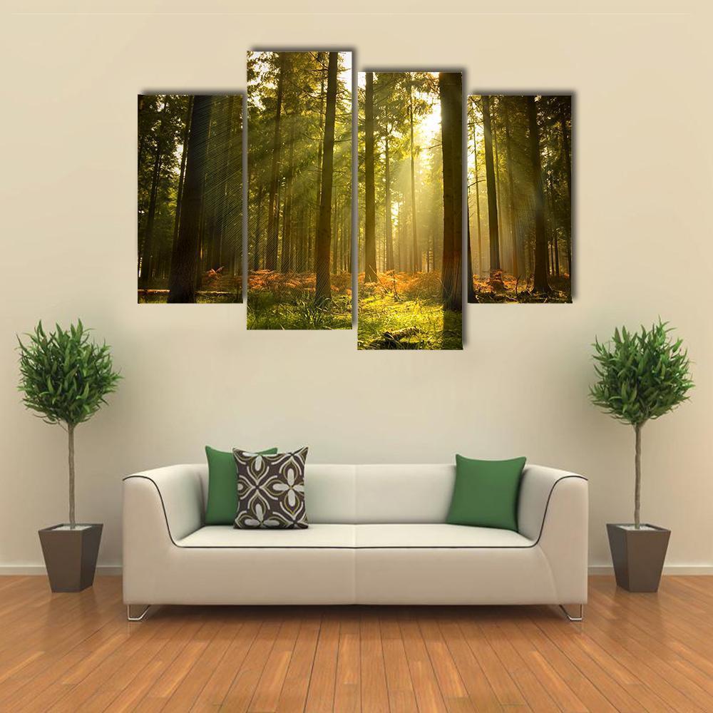 Forest At Dusk Canvas Wall Art-4 Pop-Gallery Wrap-50&quot; x 32&quot;-Tiaracle