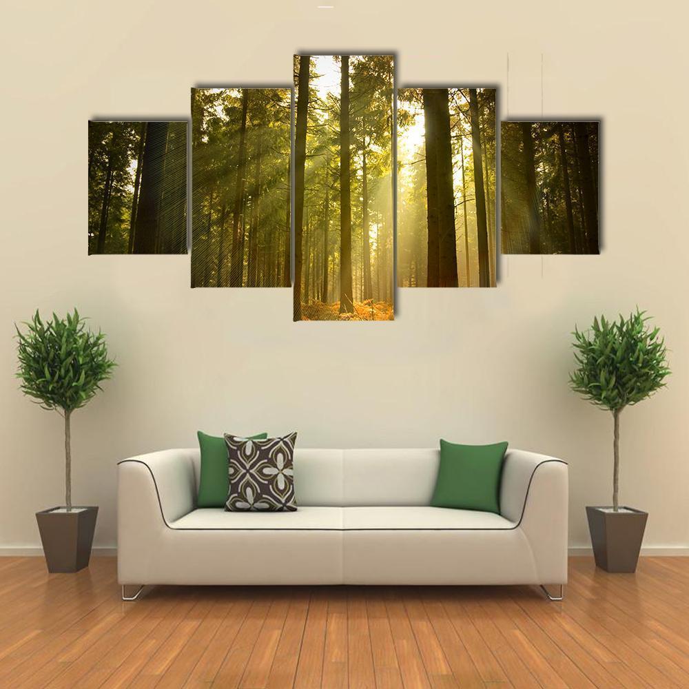 Forest At Dusk Canvas Wall Art-1 Piece-Gallery Wrap-48" x 32"-Tiaracle