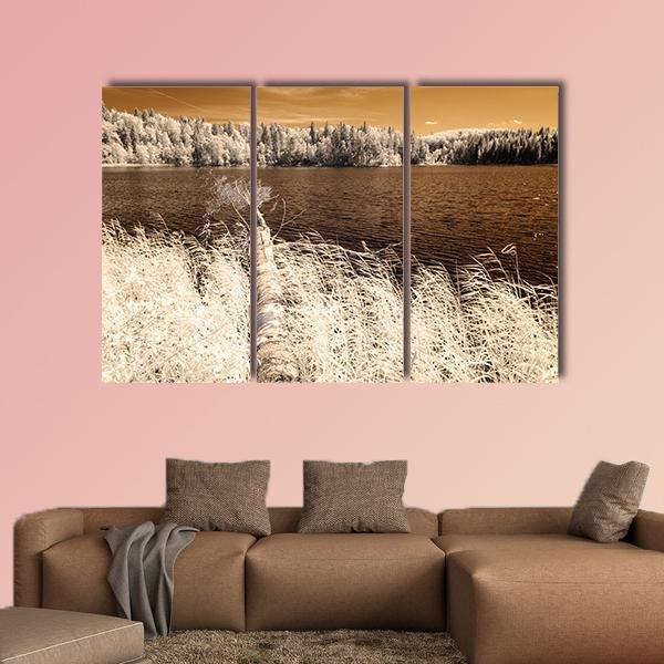 Forest Lake In Summer Day Canvas Wall Art-3 Horizontal-Gallery Wrap-25" x 16"-Tiaracle
