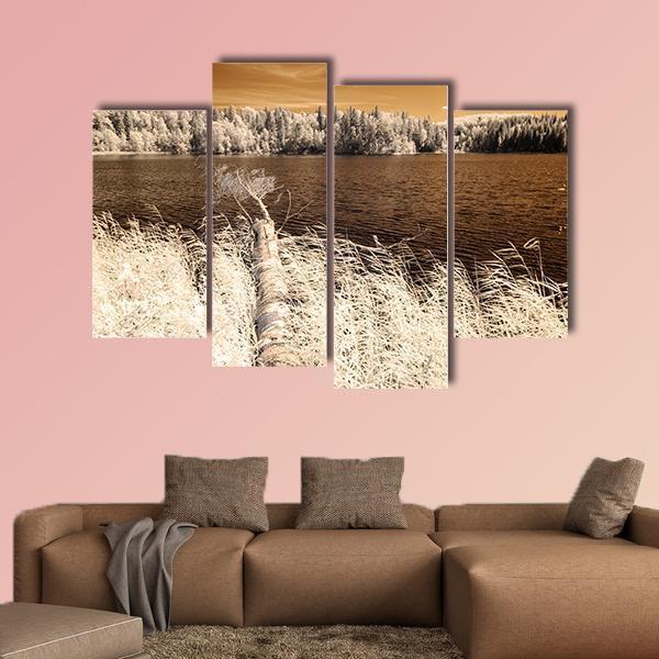 Forest Lake In Summer Day Canvas Wall Art-4 Pop-Gallery Wrap-50" x 32"-Tiaracle